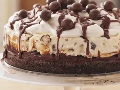 Chocolate Malt Ice Cream Cake with Fudge and Malted Milk Balls