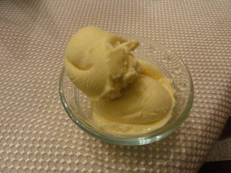 Lemon Gelato With Vanilla Bean and Egg Custard