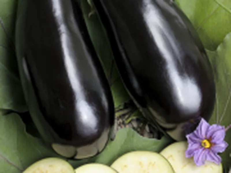Baked Eggplant Mozzarella Gratin with Tomato Layers