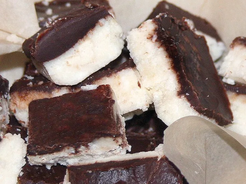 No-Bake Coconut Bars with Dark Chocolate