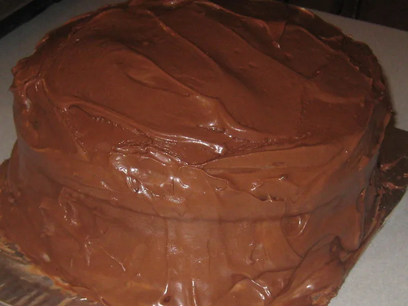 Rich Mocha Fudge Layer Cake with Coffee Chocolate Frosting