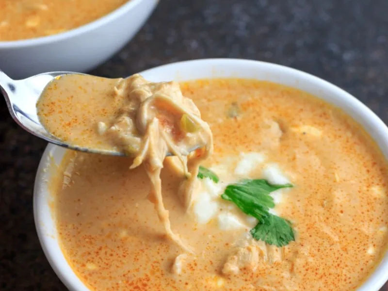 Instant Pot Chicken Salsa Queso Soup
