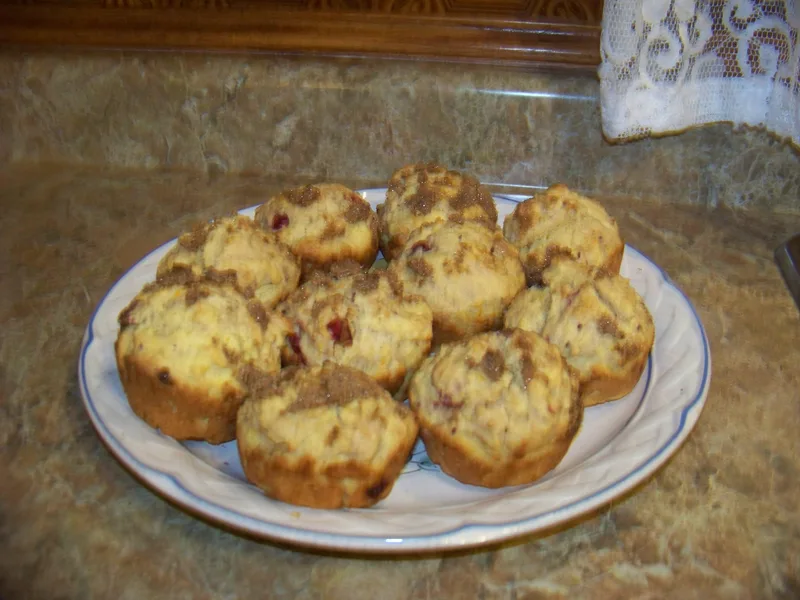 Sugar Free Orange Polenta Muffins