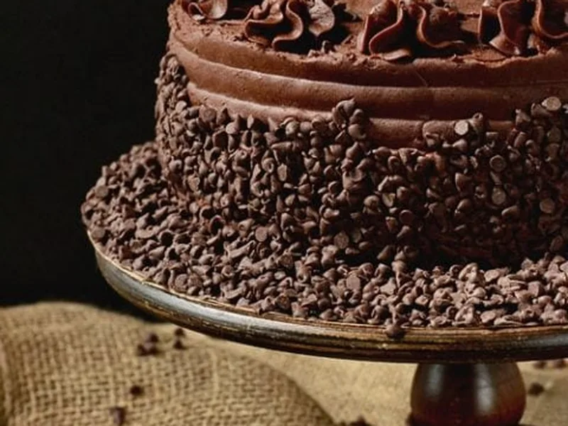 Dark Chocolate Frosted Yellow Cake with Raspberries