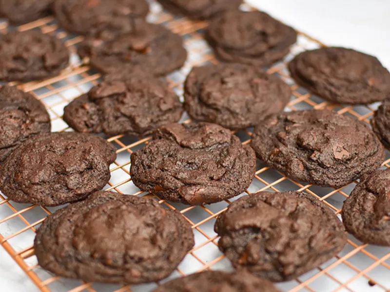 Double Chocolate Chip Cookies with Cocoa Powder - Soft & Chewy