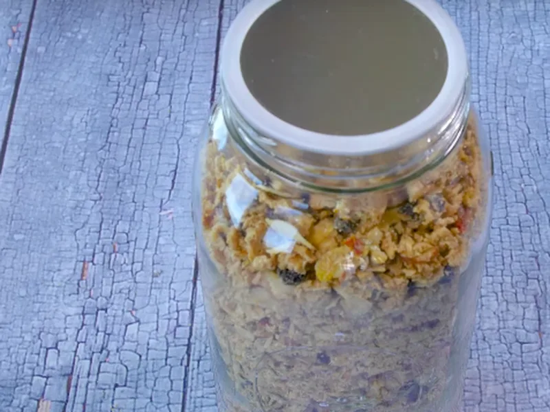 Lacto-Fermented Coconut Oatmeal Granola Clusters