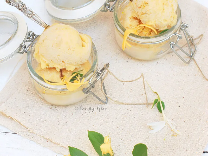 Honeysuckle White Apricot Sorbet