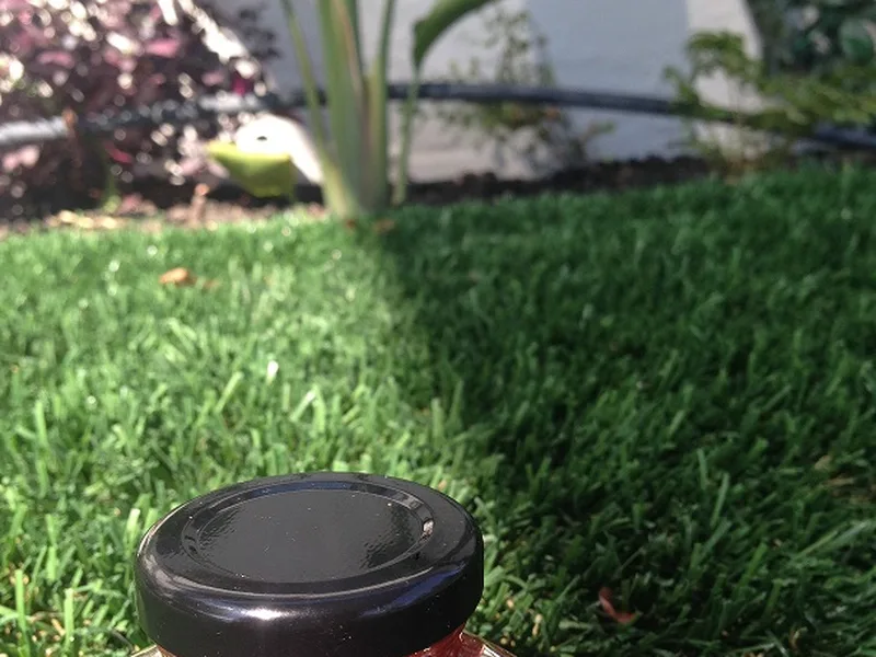 Quick Lemon Myrtle Strawberry Jam