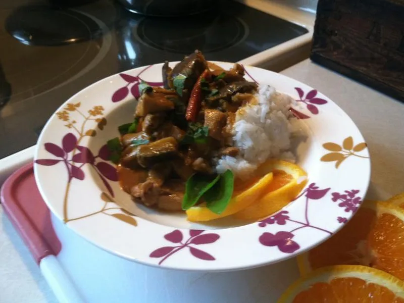 Thai Red Curry Chicken and Eggplant