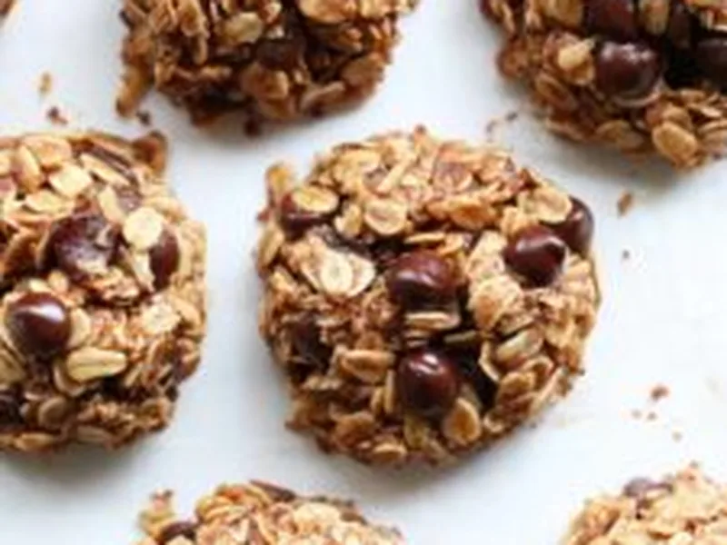 Gluten-Free Oatmeal Chocolate Chip Lactation Cookies