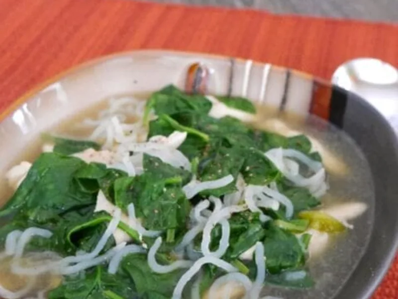 Low Carb Chicken Shirataki Noodle Soup