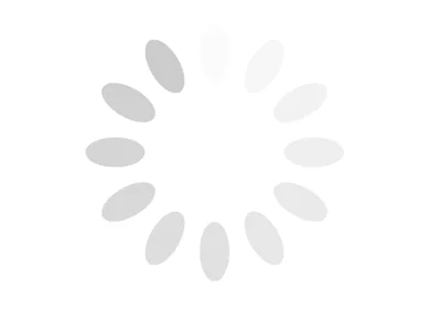 Mini Fruit Tarts with Fresh Berries and Kiwi