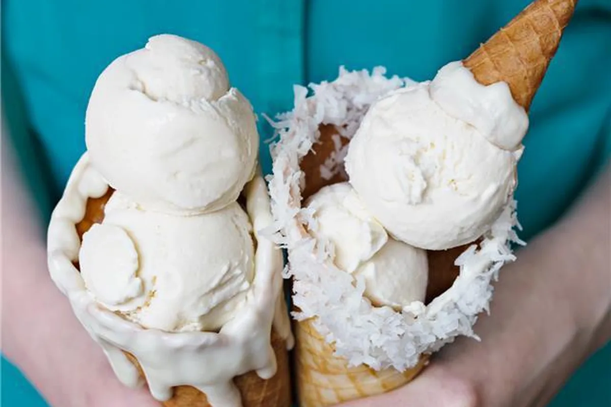 15-Minute No-Churn Vanilla Ice Cream | EasyCook