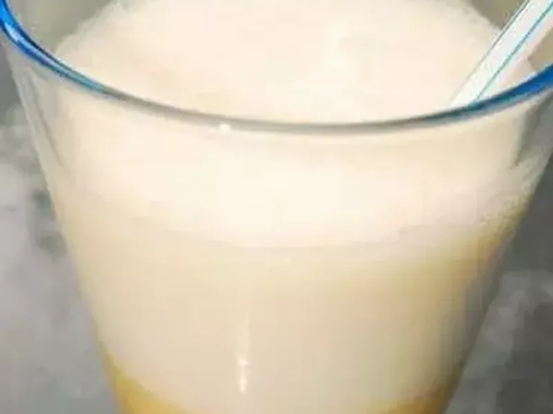 Low Calorie Orange Julius Smoothie Recipe