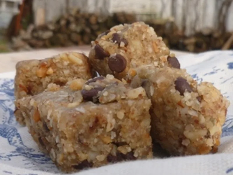 Grain-Free Protein Bars with Marshmallow Binder