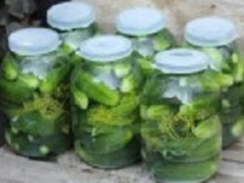 No-Canning Claussen-Style Kosher Dill Pickles