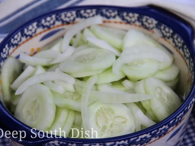 Iced Refrigerator Cucumber Salad with Sweet Onion