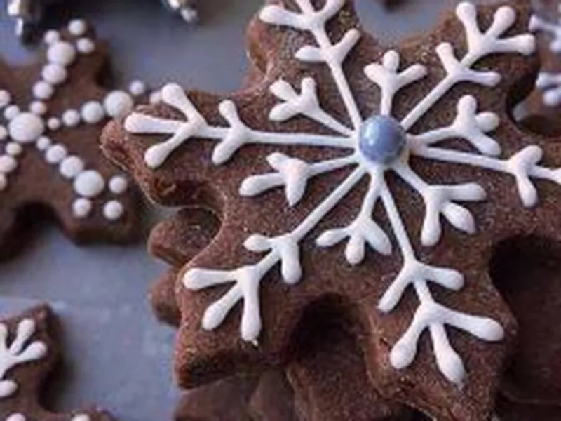 Chocolate Cut-Out Cookies with Cocoa Powder