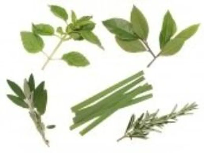 Charred Beef Steak and Roasted Veggies with Orzo