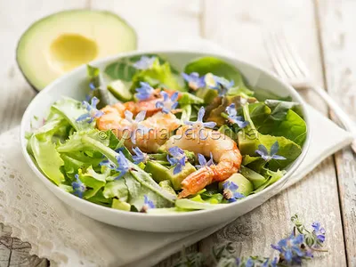 Borage Flower Salad with Shrimp and Avocado