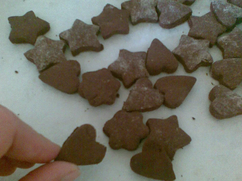 Healthy Whole Wheat Chocolate Teddy Bear Cookies