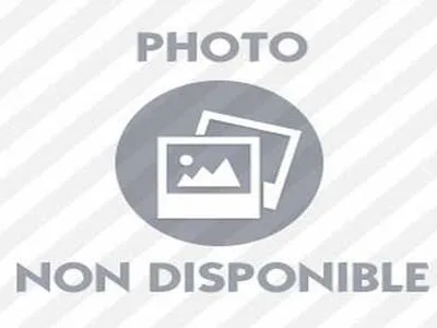 Lamb with Celery in White Sauce