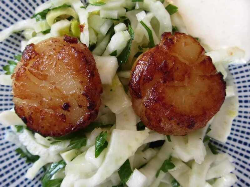 Pan-Seared Scallops with Fennel Salad and Garlic Creme