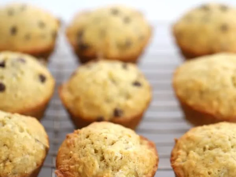 Greek Yogurt Banana Chocolate Chip Muffins