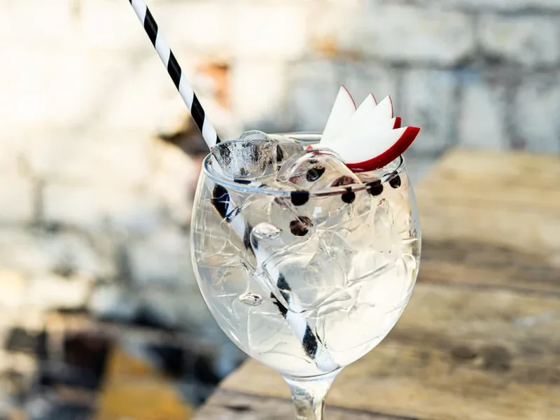 Elderflower Gin and Tonic with Apple Garnish