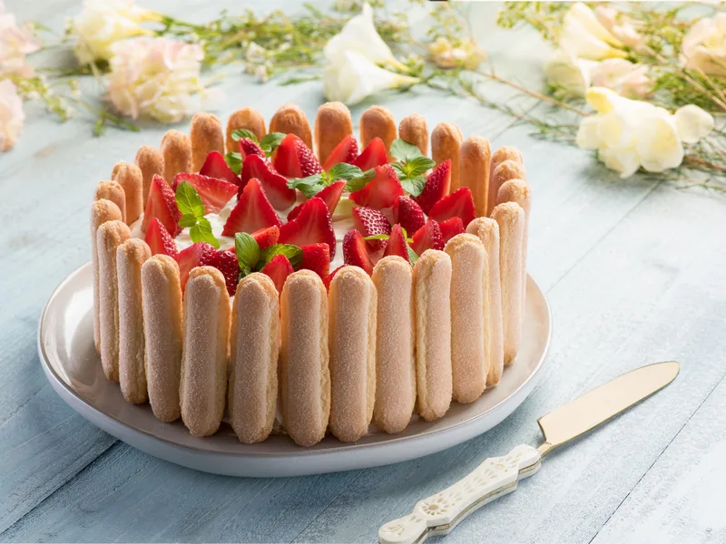 Strawberry Cream Layered Sponge Cake with Ladyfingers