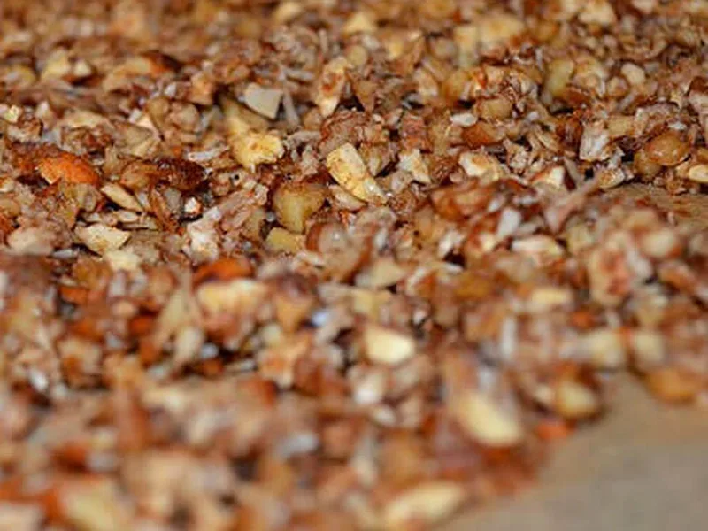 24-Hour Soaked Maple-Nut Dehydrator Granola