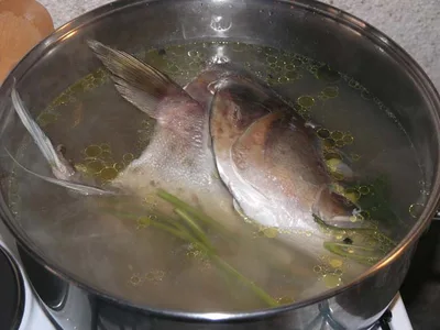 Croatian Boiled White Fish with Broth Soup