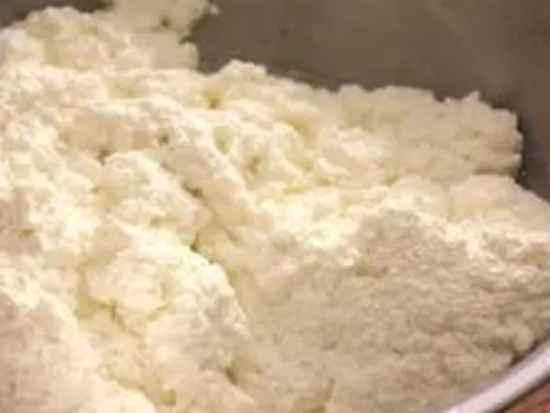 Homemade Ricotta Cheese from Whole Milk