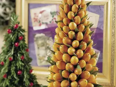 Kumquat and Bay Leaf Tree Centerpiece