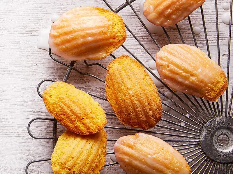 Lemon Madeleines with Gin and Dubonnet Sorbet