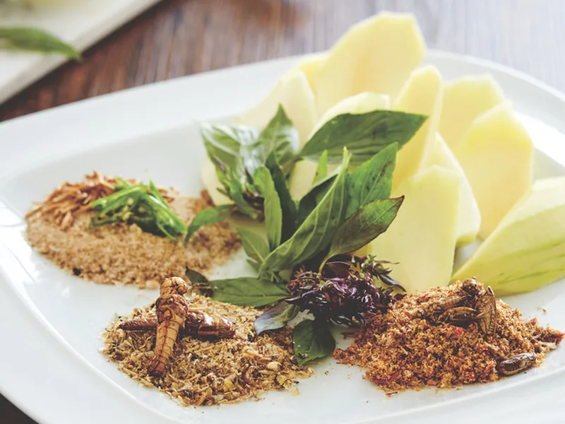 Roasted Insect Chili Salt for Fresh Tropical Fruit Dipping