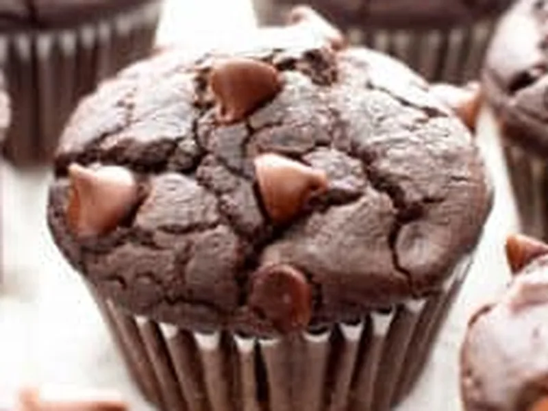 Vegan Gluten Free Double Chocolate Chip Muffins