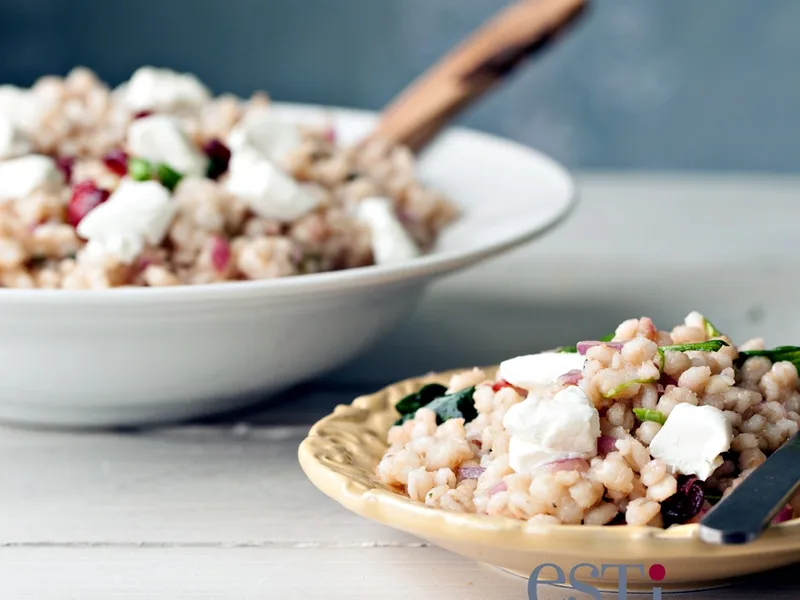 Pearl Barley Salad with Goat Cheese and Cranberries