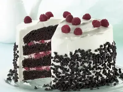 Raspberry-Fudge Fantasy Layer Torte with Chocolate Chips