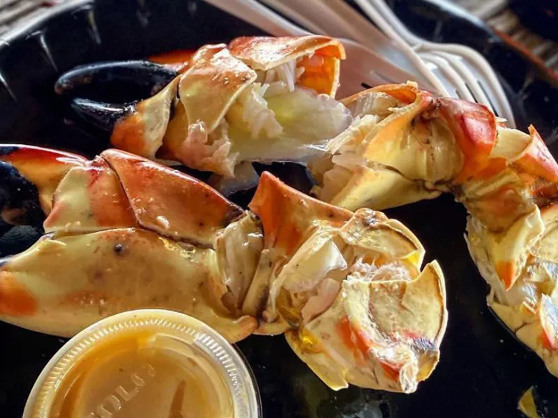 Stone Crab Pasta Salad with Everglades Seasoning