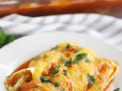 Red Chicken Enchiladas with Cream Cheese and Green Chilis