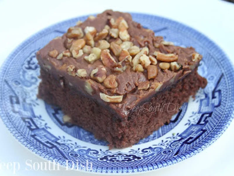 Buttermilk Chocolate Texas Sheet Cake with Hot Fudge Frosting