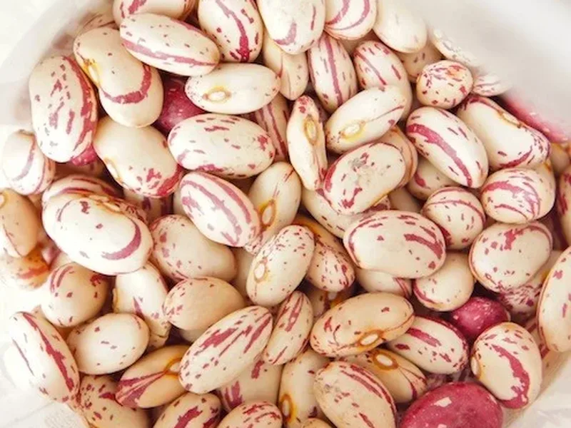 Cranberry Bean Salad with Toasted Black Quinoa and Feta