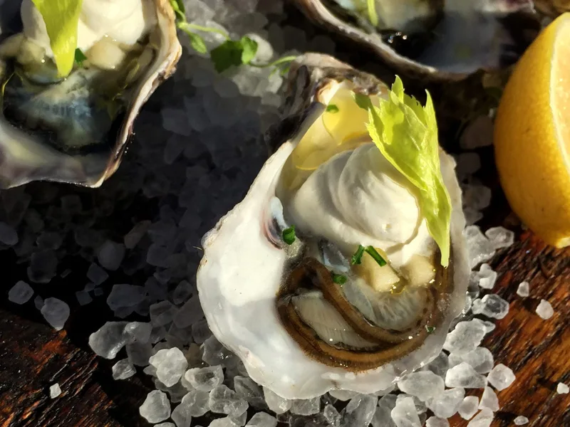 Oysters with Apple Mignonette and Celery Root Cream