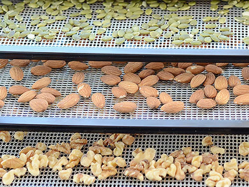 Soak and Dehydrate Raw Nuts and Seeds
