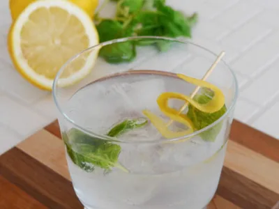 Keto Gin and Tonic with Basil and Lemon